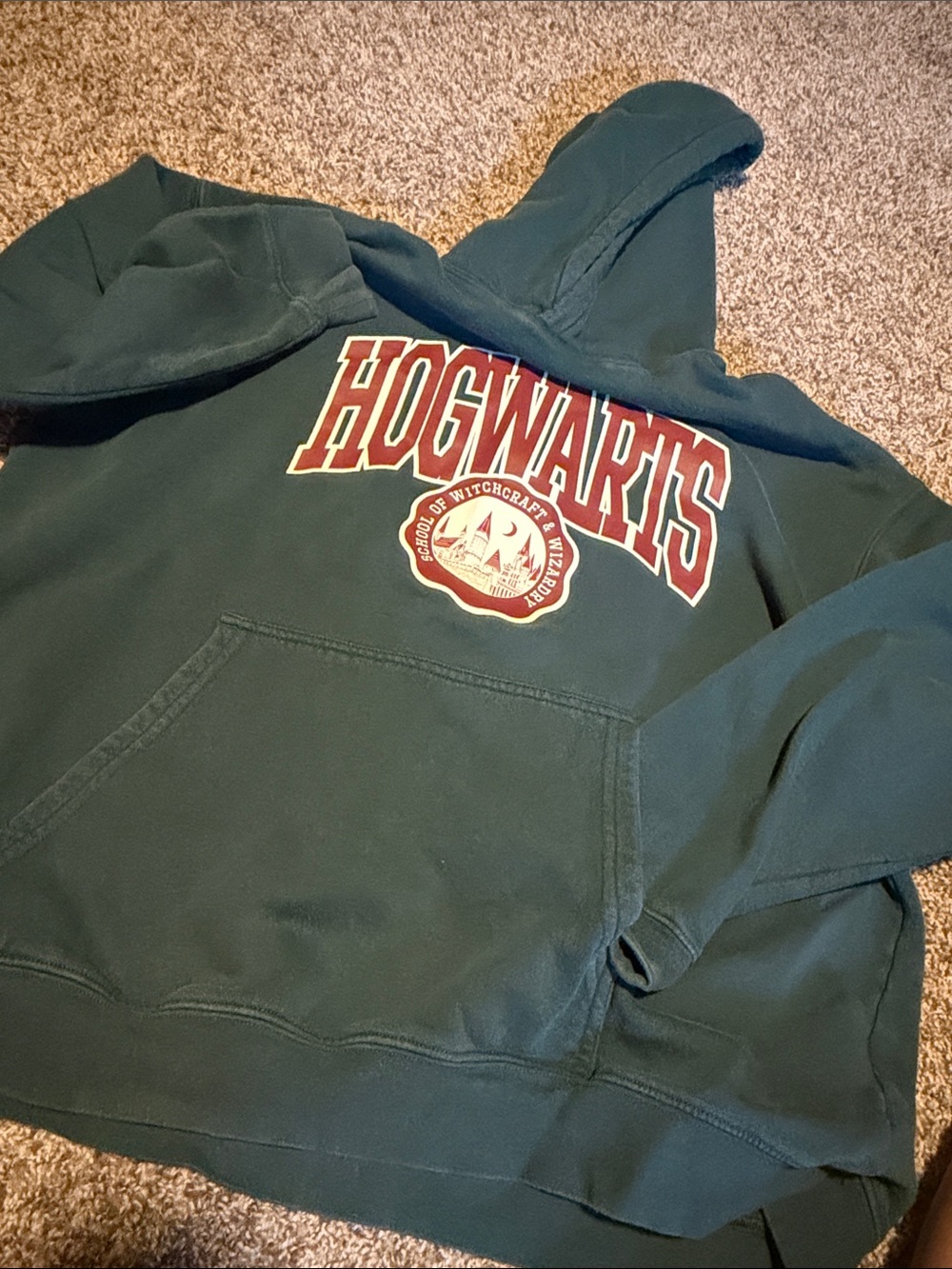 Hogwarts Harry Potter heavyweight youth hoodie (XL/20) - EUC